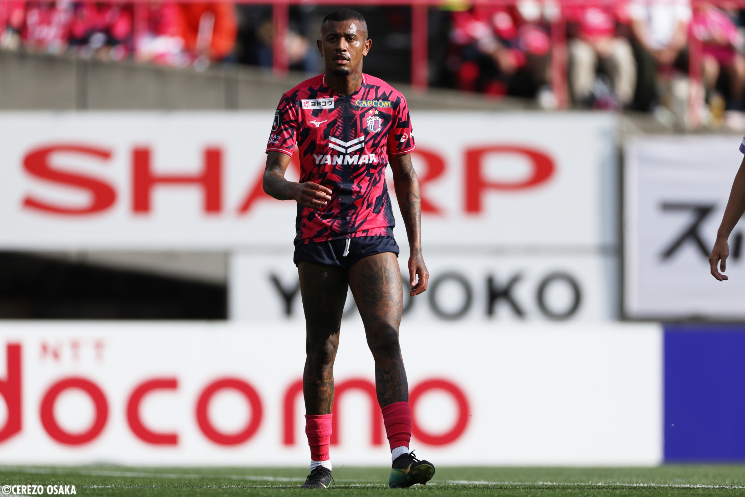 2/22 広島戦 | 試合結果 | セレッソ大阪オフィシャルウェブサイト